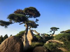 -罗红摄影艺术馆