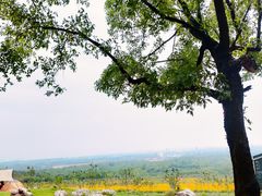 -老山国家森林公园