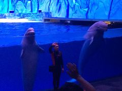 -广东省拱北口岸中国旅行社(华宾营业部)