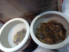 -东北大院·东北菜(三台子店)