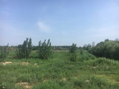 -贝林大翅鲸简餐厅(国家海洋博物馆店)