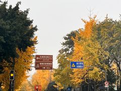 -成都杜甫草堂博物馆