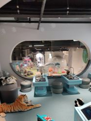 -MINI MARS KIDS CLUB亲子家庭中心(长宁天山店)