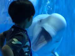 -多彩贵州城极地海洋世界