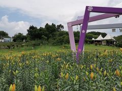 -紫颐香薰山谷景区