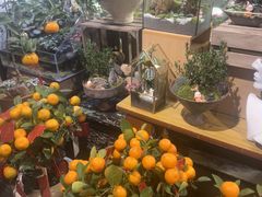 -弗劳尔花艺坊(龙涛店)