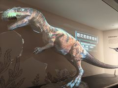 -自贡恐龙博物馆