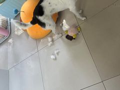 -李先生牛肉面大王(广渠门内店)