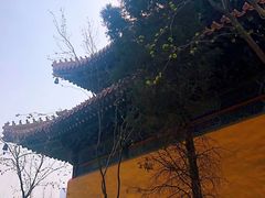 -挂甲禅寺