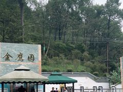 -大金鹰园