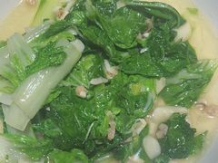 -鸽子侯·家宴·平价海鲜(市图书馆店)