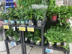 -大润发(勤业店)