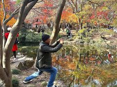 -秋霞圃
