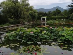 -国家植物园南园