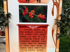 -北京市劳动人民文化宫(太庙)