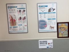 -谐和益家动物医院·免疫绝育·血液透析·宠保定点医院(高新伊藤分院)
