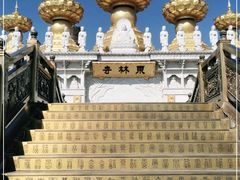 -上海东林寺(金山区)