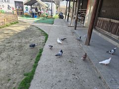 -乌村