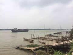 景观位-菠菜美食