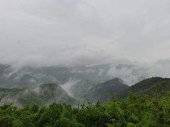 -莫干山风景区