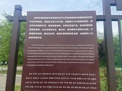 -盐城丹顶鹤湿地生态旅游区