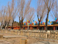 -青龙湖公园