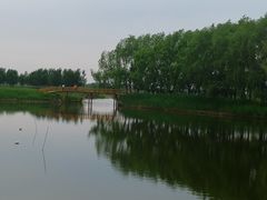 -白渔泡湿地公园