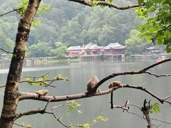 -黔灵山公园