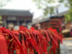 -新安江山水画廊风景区