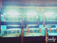 -五四北海鲜吧火锅(秀山路店)