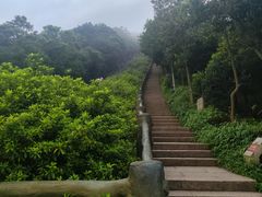 -梧桐山风景名胜区