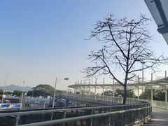 -深圳湾公园(南山区)