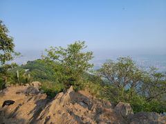 -紫金山山顶公园