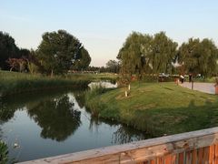 -安德鲁户外烧烤帐篷营地(马泉营店)