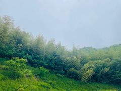 -南山风景名胜区