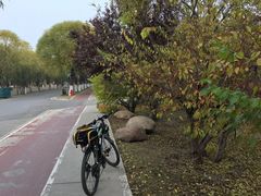 -天津东丽湖风景区