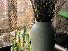 -大可堂普洱茶馆(襄阳南路馆)