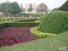 -三水森林公园