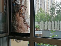 靠窗位-捌楼咖啡书吧(南开店)