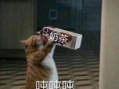 -1点点(河南中路店)