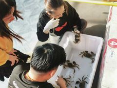 -乡乐园蟹庄·阳澄湖农家乐