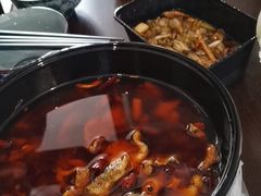 毛血旺-川渝饭店