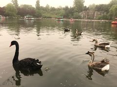 -西安秦岭野生动物园