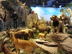 -陕西自然博物馆