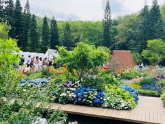 -深圳仙湖植物园