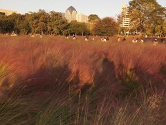 -艾溪湖湿地公园