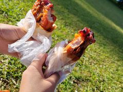 -昆明植物园