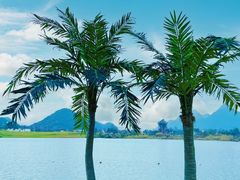 -云漫湖生态度假公园