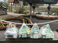 -Ohkajhu Organic Farm Sansai