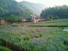-德庆盘龙峡生态旅游区